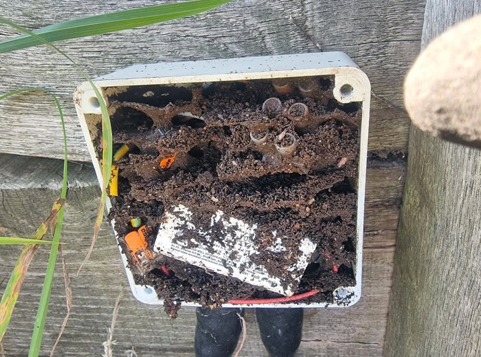 An outdoor junction box full of soil and debris