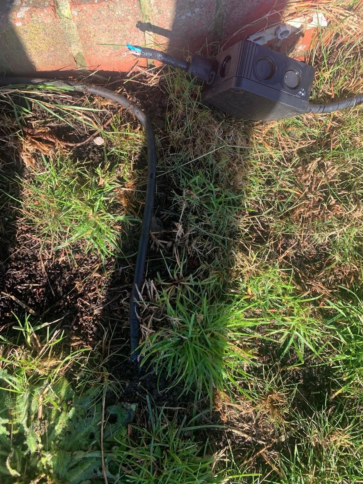 An outdoor cable running across a lawn to a junction box