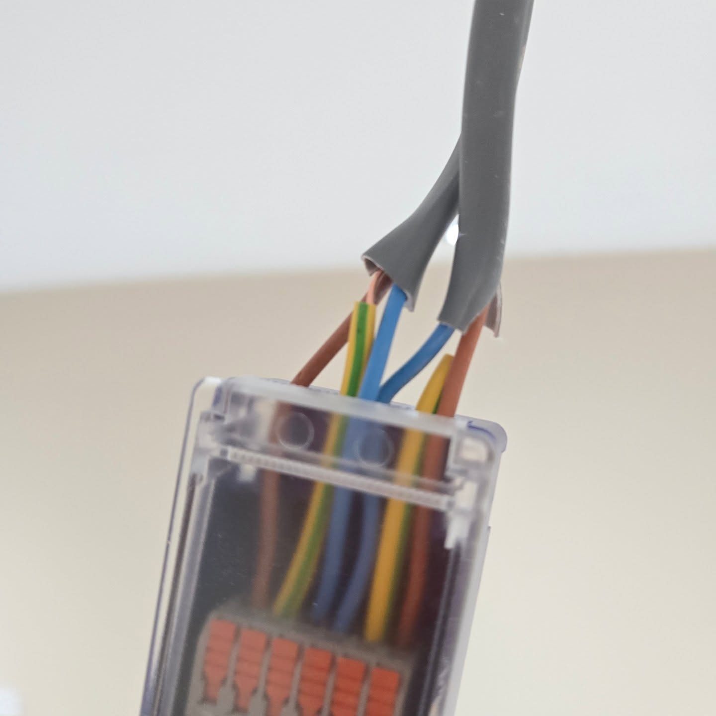 Cables neatly joined in a clear lever-connector junction box